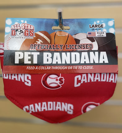 Vancouver Canadians Pet Bandana